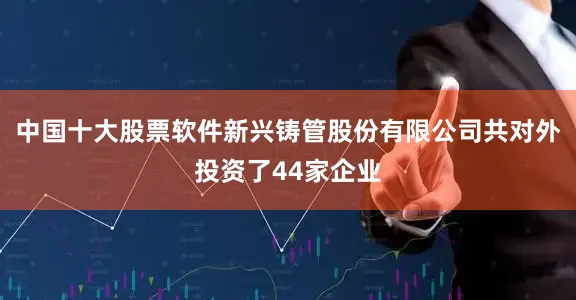 中国十大股票软件新兴铸管股份有限公司共对外投资了44家企业
